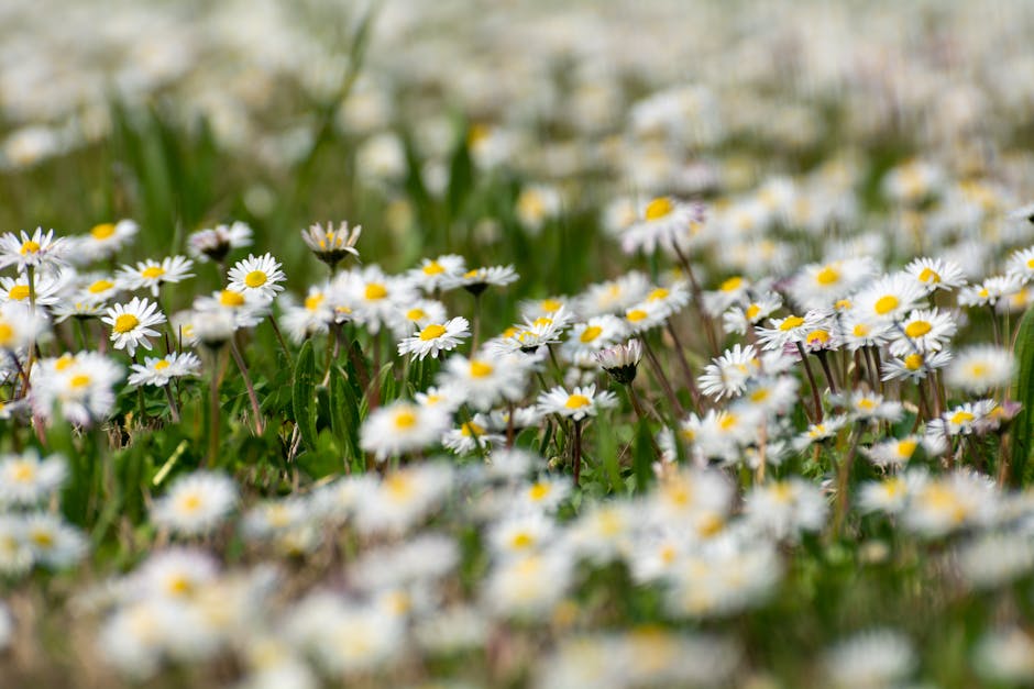 Garden Goals: Winter Prep Made Easy Pexels Photo 34541643