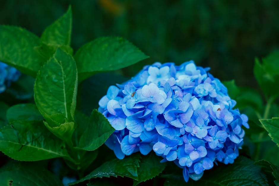 Effortless Winter Garden Prep Secrets Pexels Photo 34581764