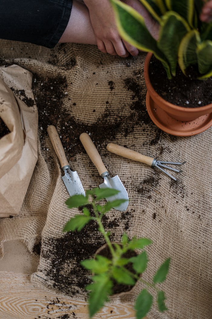 Services Flat lay of gardening tools, soil, and potted plants on burlap for home gardening inspiration.